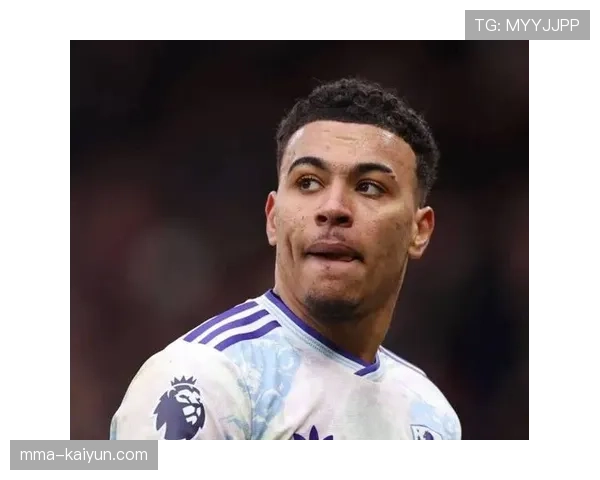 罗梅罗伤缺6-8周，将缺席热刺比赛但可出战世界杯